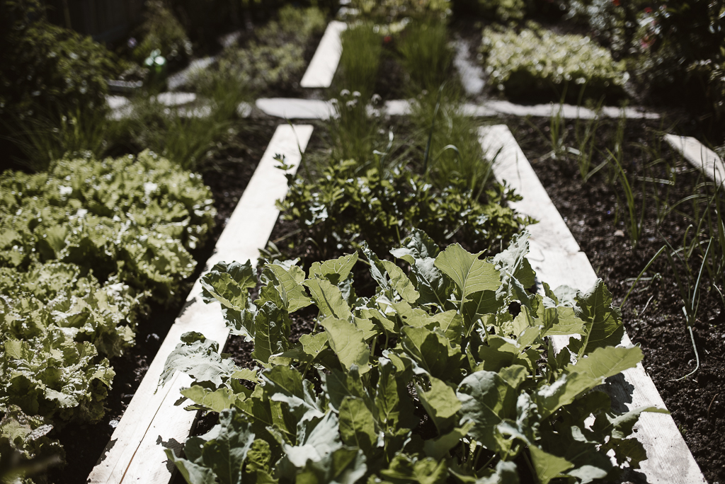 Hotel Pfösl_Südtirol_Southtyrol_Boutique Hotel_Vegetarian_Vegan_Bozen_Piecesofve_Vera Prinz_10-10_DSC_6516