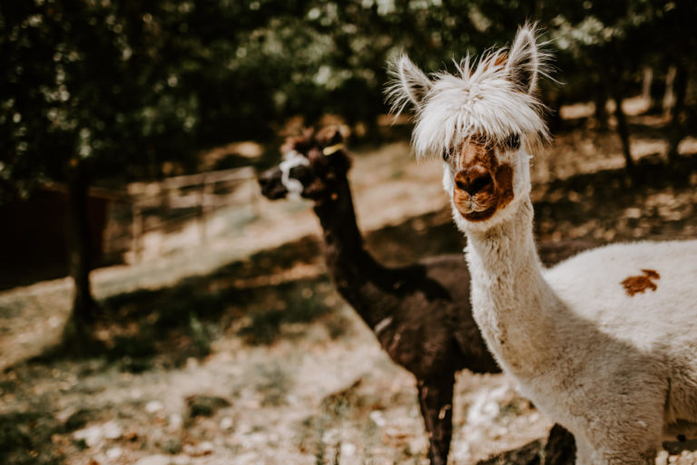 Casa San Gabriel – Umbria (Italy)